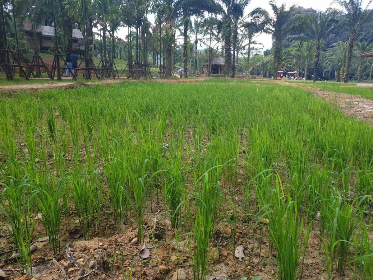 考索克休闲精品住宿 Phanom 外观 照片