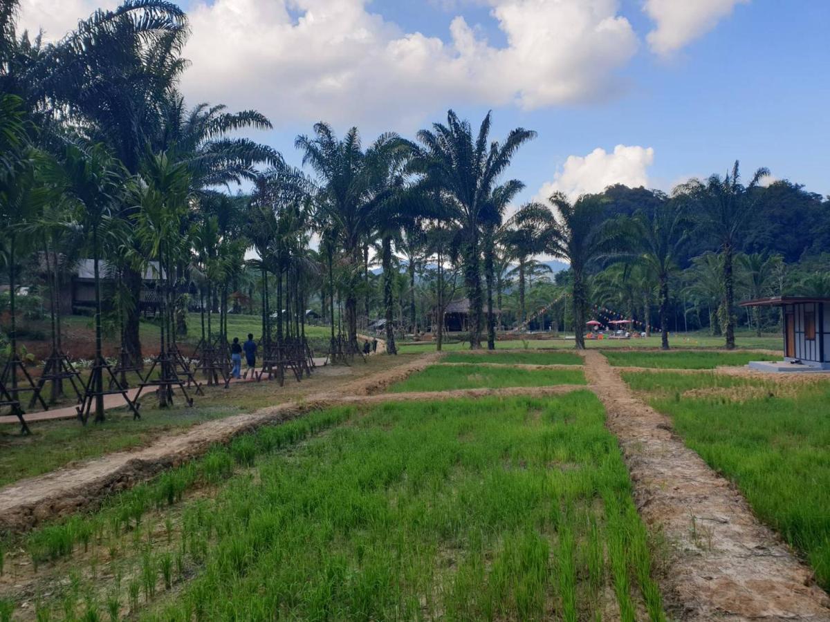 考索克休闲精品住宿 Phanom 外观 照片
