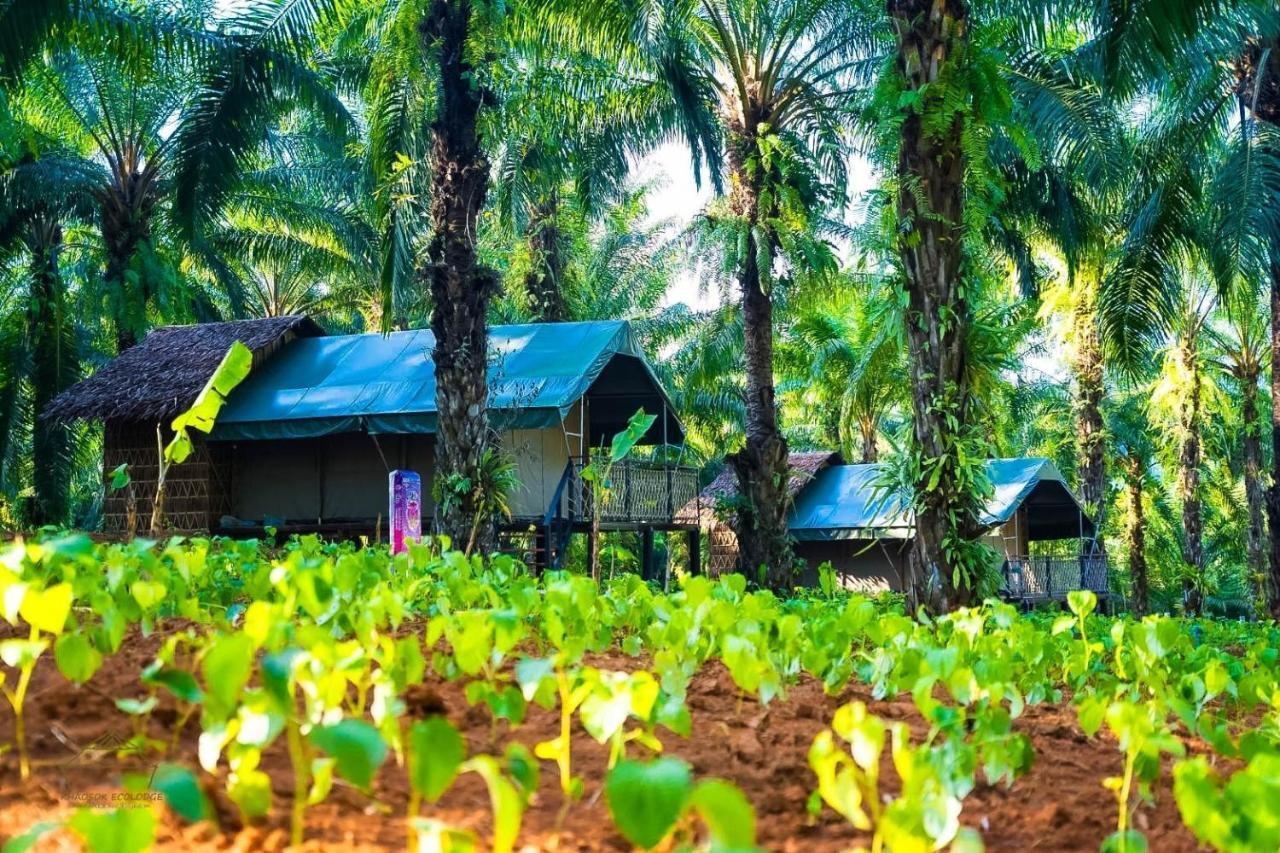 考索克休闲精品住宿 Phanom 外观 照片